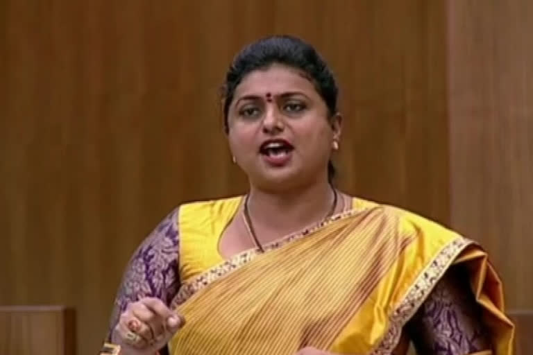 ycp mla roja