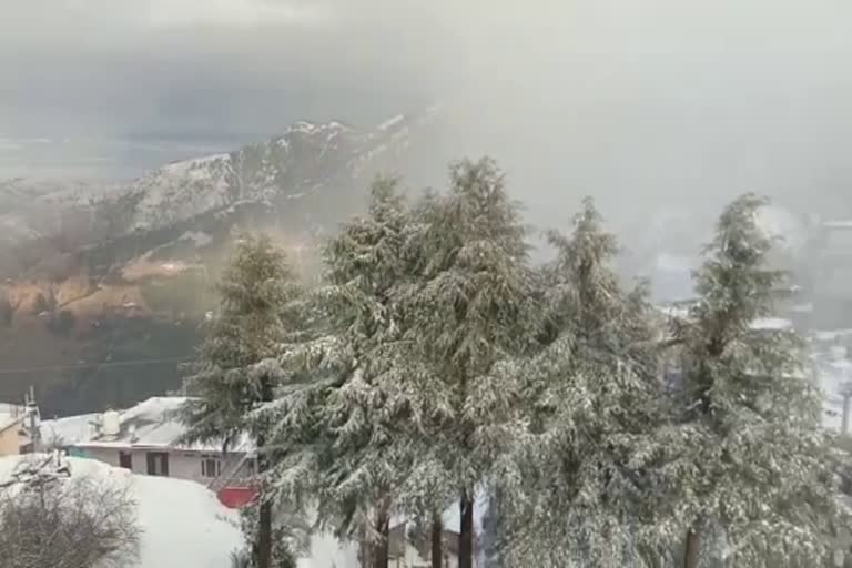 fresh snowfall in sirmaur