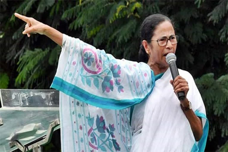 mamta banarji