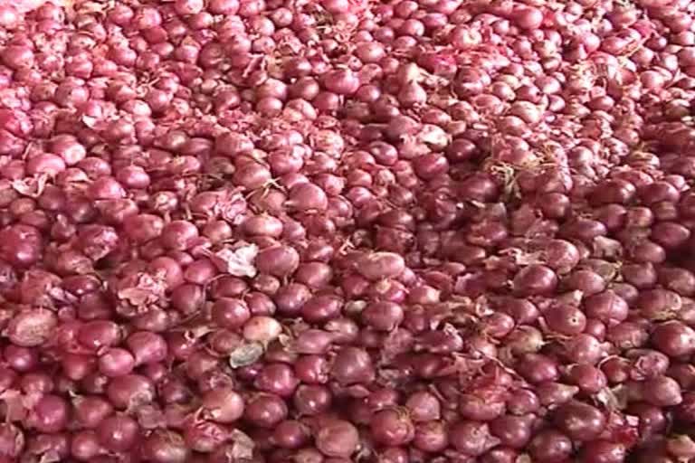 Govt considering lifting ban on onion exports