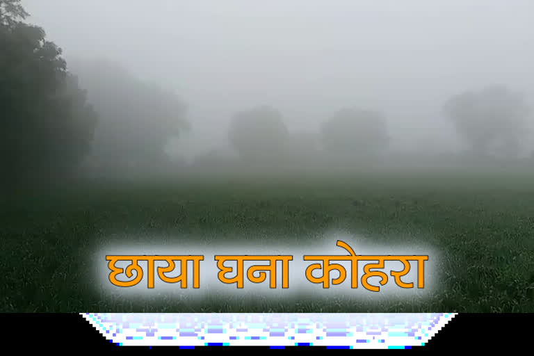 Bhilwara news, भीलवाड़ा में सर्दी, भीलवाड़ा न्यूज, rajasthan weather news