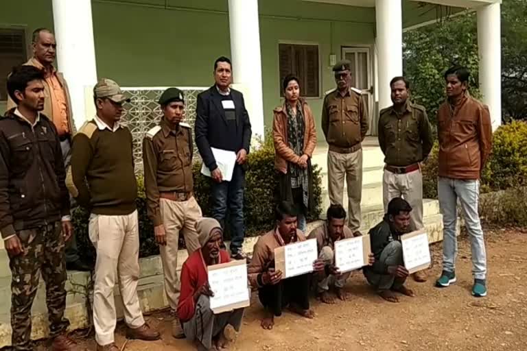 four-accused-of-hunting-nilgai-arrested-by-forest-board-panna
