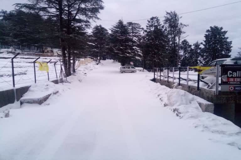 fresh-snowfall-report-in-himachal-pradesh-till-january-2020