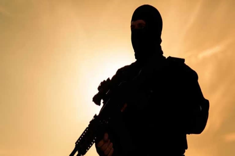 Terrorist wanted for killing 2 security personnel killed in Pulwama encounter