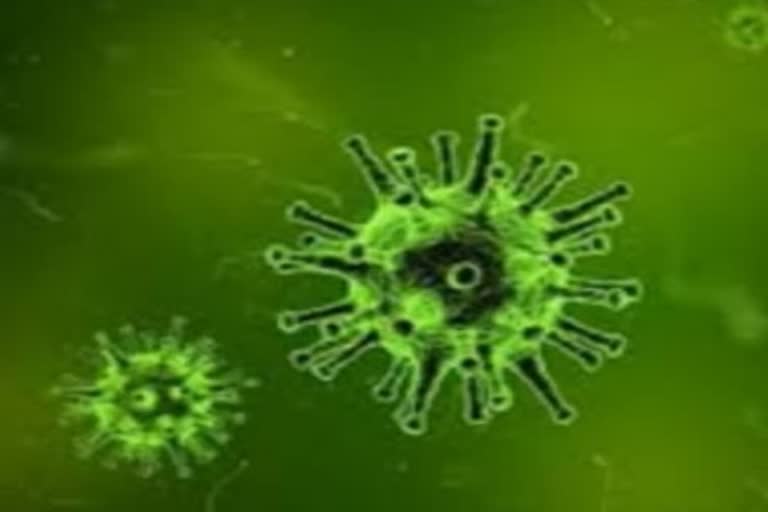 Death toll in China's coronavirus outbreak sharply rises to 17