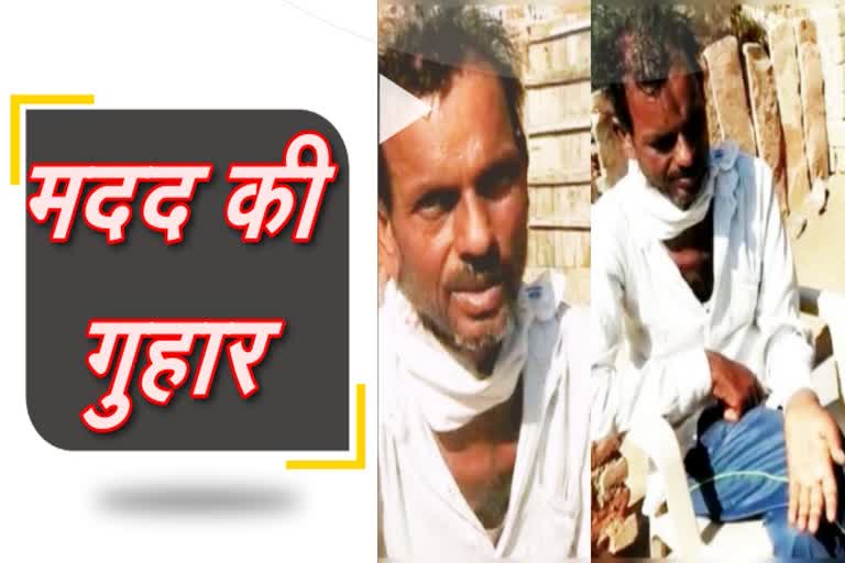 barmer news  sewana news  kidney affected bhanwaroo Khan  need help news