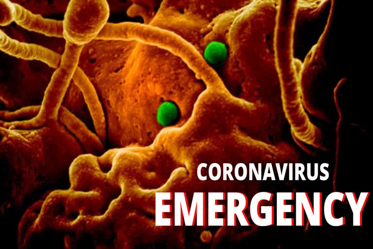 WHO emergency committee meets over coronavirus outbreak