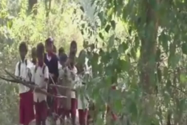 Ghatshila Student carry bow arrow fear of tiger in Ghatshila Mirgitand Primary school ജാര്‍ഖണ്ഡില്‍ കടുവയെ ഭയന്ന് വിദ്യാര്‍ഥികള്‍ സ്കൂളിലെത്തുന്നത് അമ്പും വില്ലുമായി