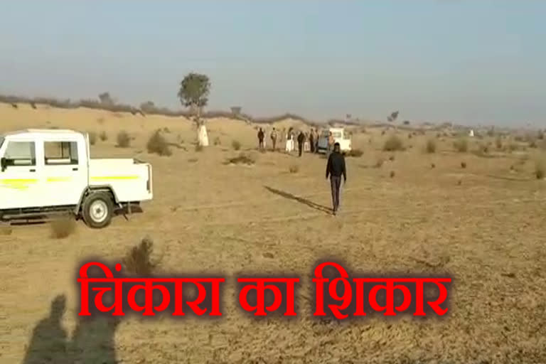 बीकानेर न्यूज, bikaner news