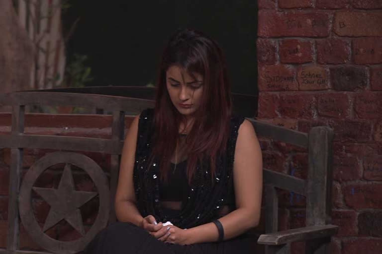 Bigg Boss 13: Shehnaaz reveals why she moved away from family