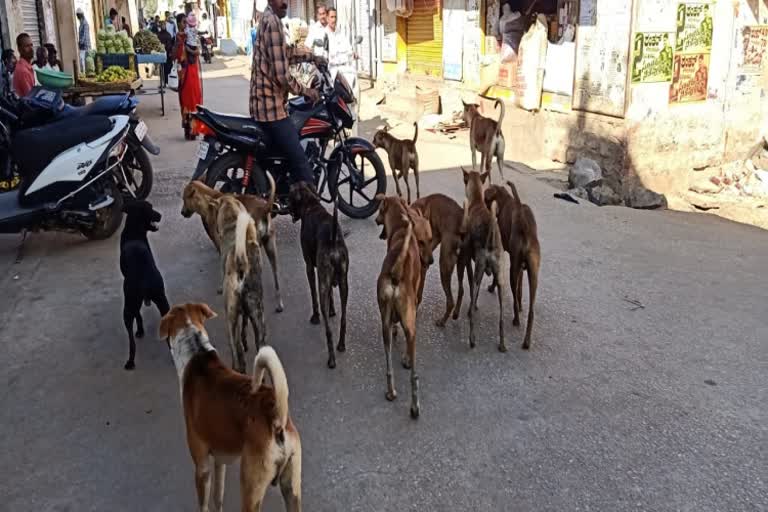 dogs-problem-in-gowribidanuru