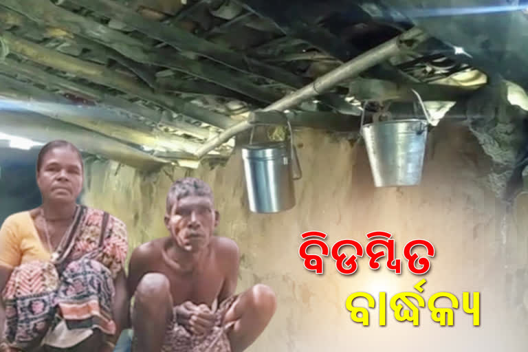 below-poverty-line-old-family-nuapada-does-not-get-health-service-due-to-financial-problem