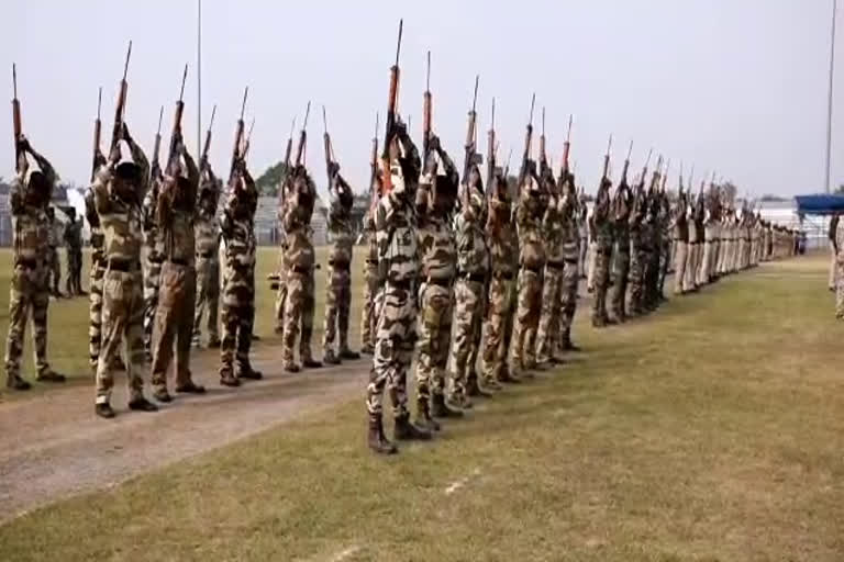 Root chart for Republic Day celebrations in raipur