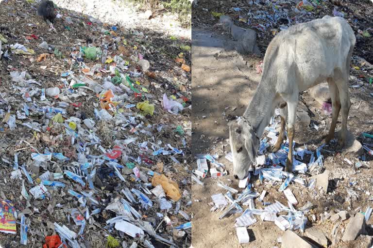 बपावर अस्पताल प्रशासन की बड़ी लापरवाही, Infectious waste lying on the roadside