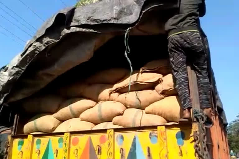 Two Trucks of Betel seized by Koliabor police