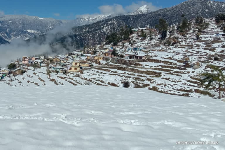 उत्तरकाशी बर्फबारी का प्रभाव समाचार, effect of snowfall uttarkashi news