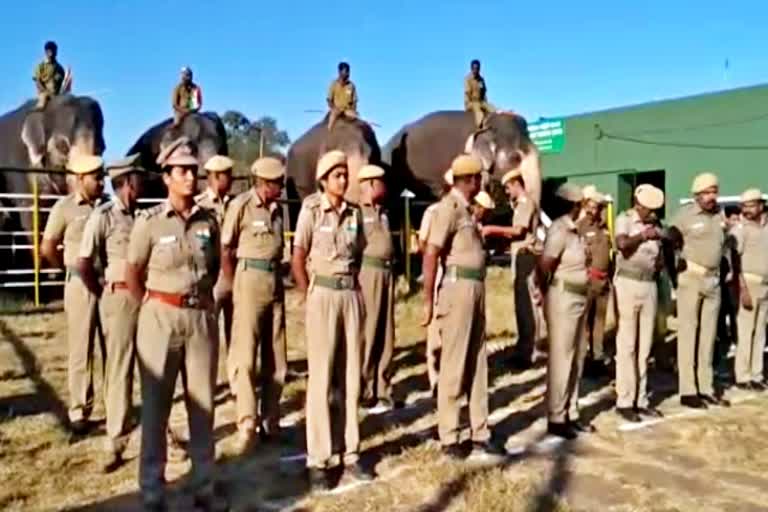 ooty republic day, republic day celebrations with elephant parade, ஊட்டி குடியரசு தின விழா, உதகை குடியரசு தின விழா, முதுமலை தெப்பக்காடு வளர்ப்பு யானைகள் முகாம்