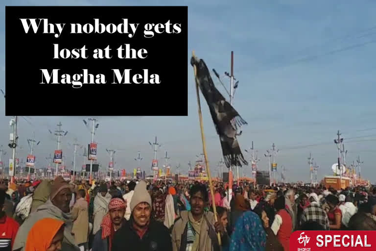 Why do devotees coming to the Magha Mela carry sticks in their hands?