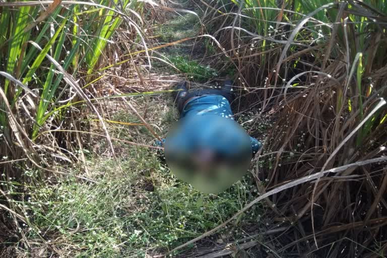 Unknown person dead body found in chikkodi