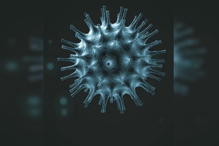 corona virus