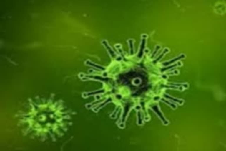 Coronavirus: Mumbai man in hospital for possible exposure