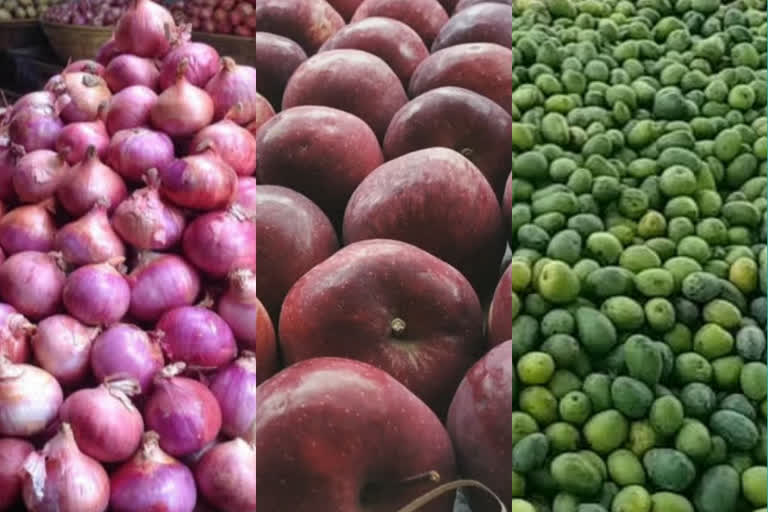 Govt pegs 7 pc rise in onion output this yr; sees production fall in major fruits