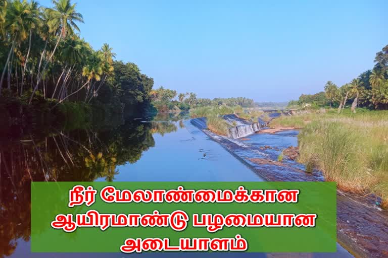 பாண்டியன் சிற்றணை