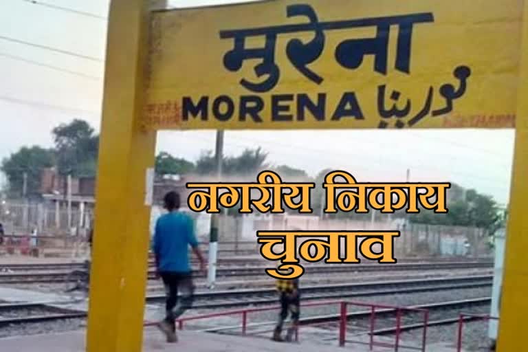 reservation for urban body elections in Morena