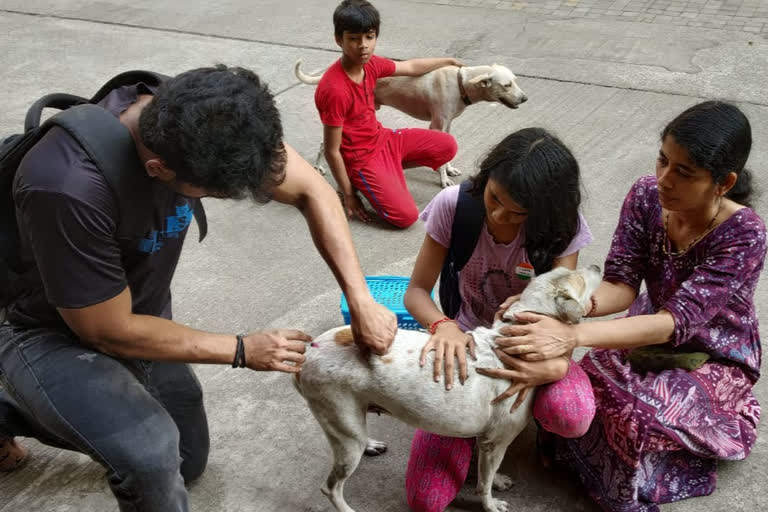 रेबीज प्रतिबंध लसीकरण