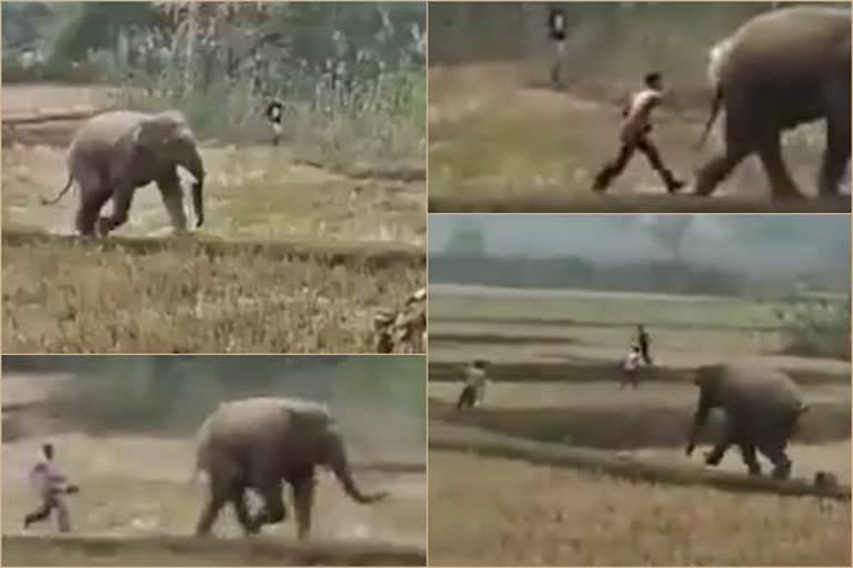 Man escapes after hitting innocent elephant