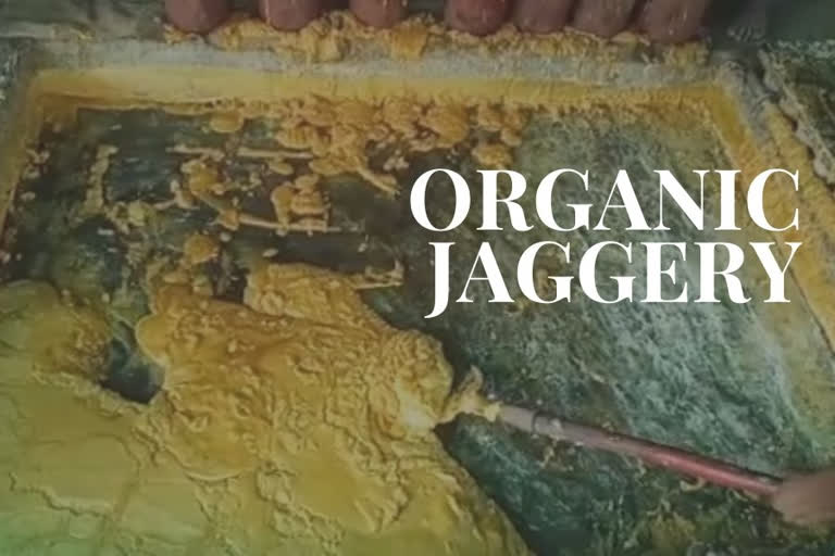 Hingoli farmer builds brand Jaggery made from organic sugarcane