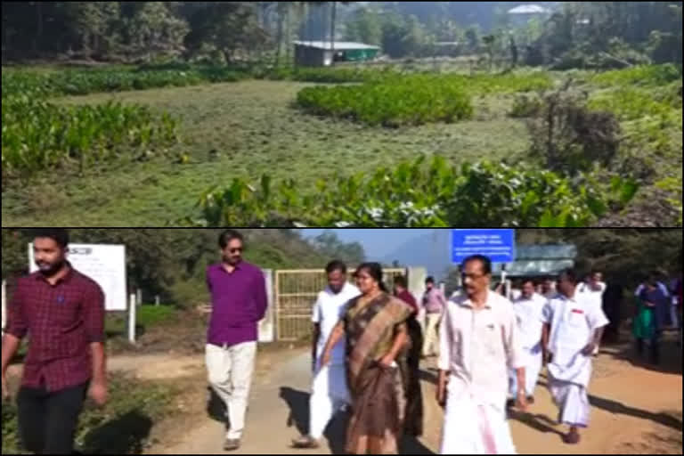 ish farming in Idukki  idukki  മേഴ്‌സികുട്ടിയമ്മ  Mersikuttiamma  വെള്ളത്തൂവല്‍  vellthooval panchayath