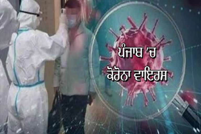 coronavirus in Punjab, mohali news