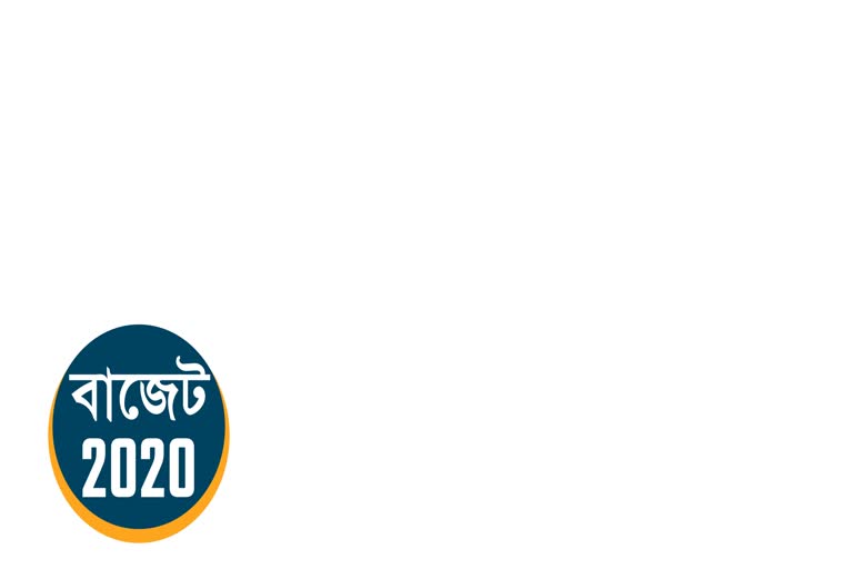 কেন্দ্ৰীয় চৰকাৰৰ বাজেটক লৈ কি আশা যুৱ প্ৰজন্মৰ