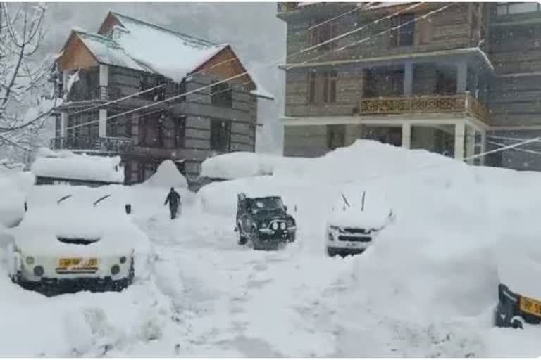 manali-receives-fresh-snowfall