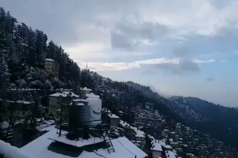 snowfall in shimla