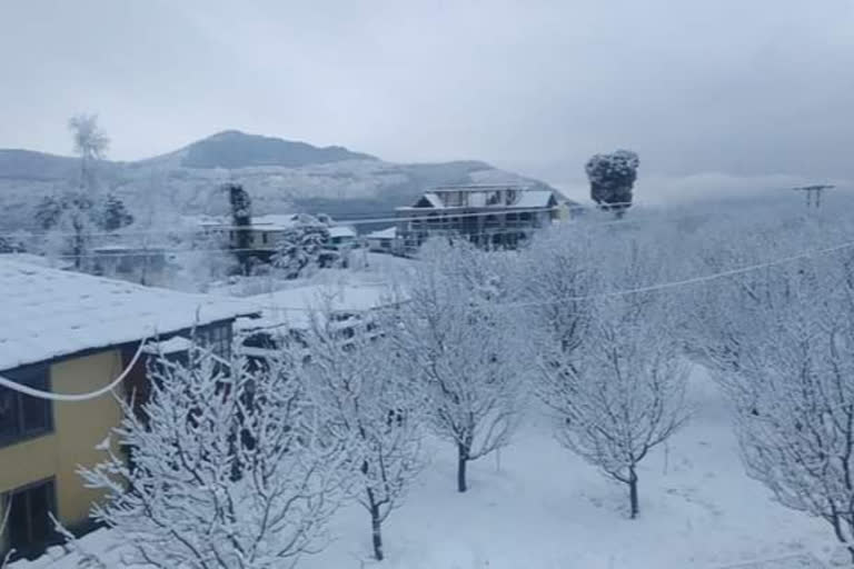 fresh snowfall in kullu