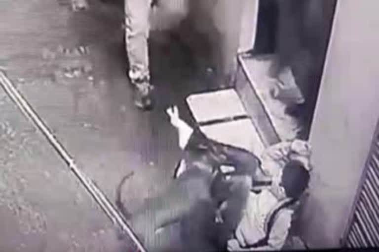 Pitbull attacks boy  cctv footage  jalandhar  വളർത്തുനായ പതിനഞ്ചുകാരനെ ആക്രമിച്ചു  വളർത്തുനായ ആക്രമിച്ചു  ജലന്ധർ