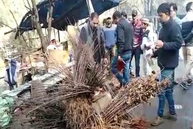 500 Plant Burnt By Horticulture Department In Rampur