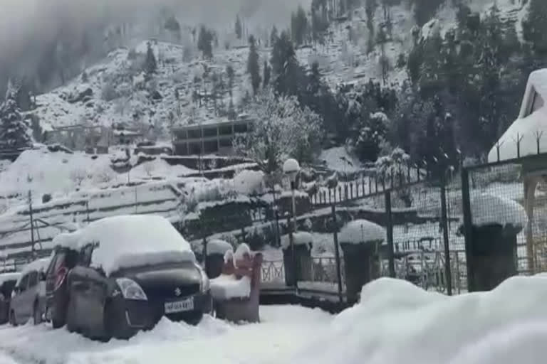 snowfall in Rampur