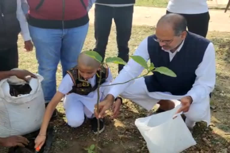 After the donation of the mother orgen tree was planted with the ashes of the pyre in bhopal