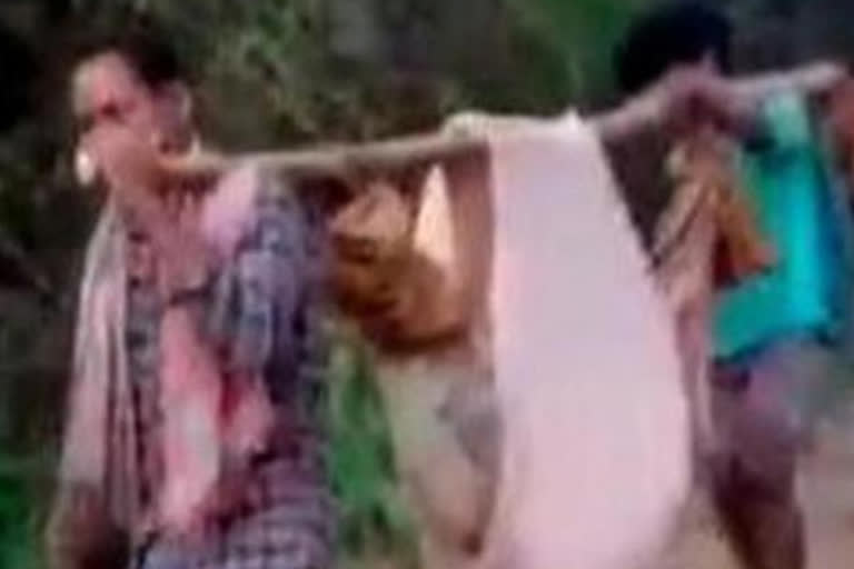 Andhra villagers carry ailing youth for 12 km to reach ambulance