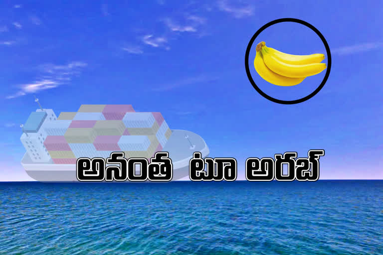 bananas-export-to-arab-countries-from-ananthapuram-districts