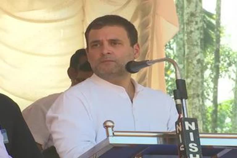 rahul gandhi