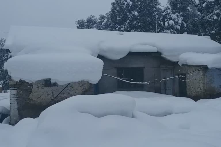 water crisis in kinnaur