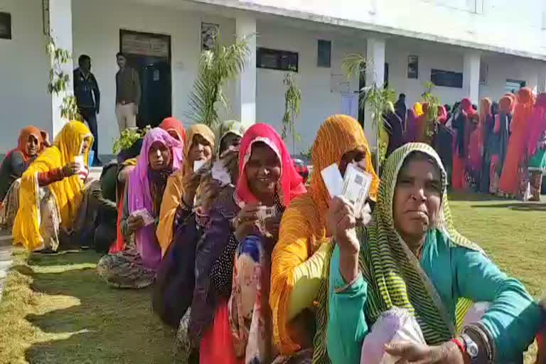 भीलवाड़ा पंचायत चुनाव,  bhilwara panchayat election