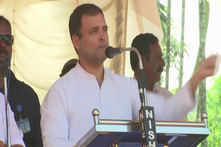 जनसभा करते राहुल गांधी