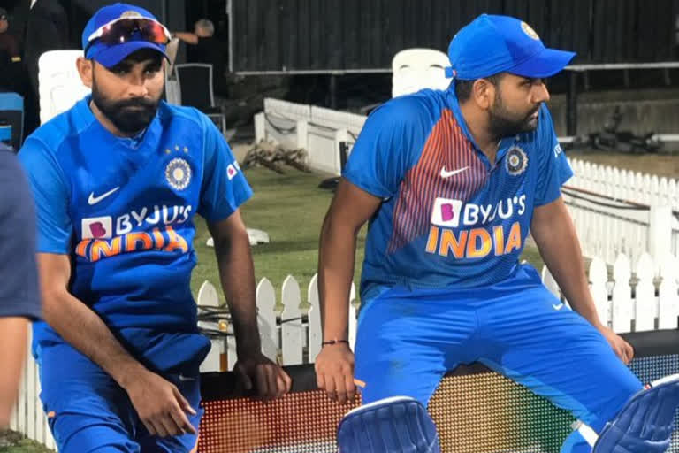 new zealand cricket board shared mohammed shami and rohit sharma photo