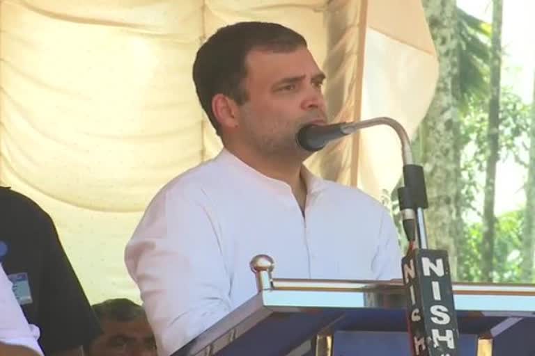 rahul gandhi