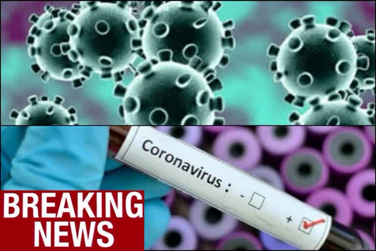 One positive case of Novel Coronavirus has been found  in Kerala  കേരളത്തിൽ കൊറോണ സ്ഥിരീകരിച്ചു